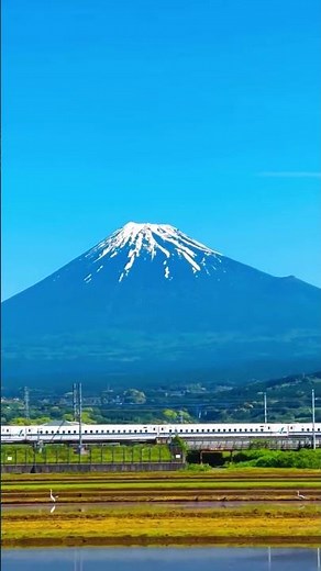 Mount Fuji and Shinkansen 🇯🇵 Iconic Japan View in Shizuoka