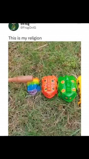 Frog_Is_Everything on Instagram: "Yes Patrick, frog is an instrument credit @frog #frog #frogsofinstagram #froggy #frogs #froggo #frogmemes #froglove #froglove"