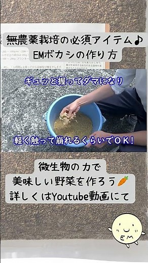 【菌の力】EMボカシの作り方 #shorts #無農薬 #em #家庭菜園