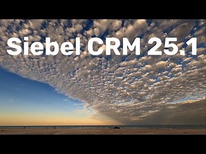 Siebel CRM 25.1 Update Summary - Core Values