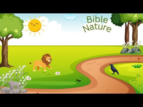 Elijah and the Ravens: God Provides. 1 Kings 17: 4–6