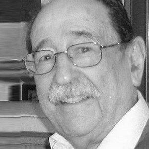 The Blogs: The draft Palestine state resolution and SC242