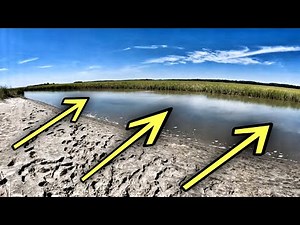 fishing TIDAL CREEKS for a delicious lunch... (catch clean cook) whole flounder
