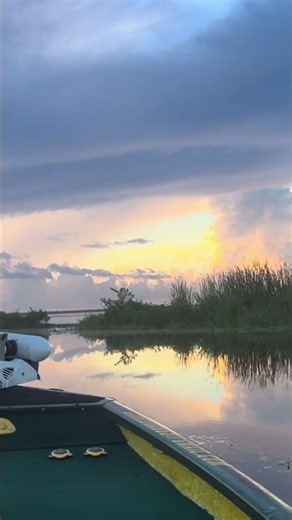 Into the Mystic # #smallwatercharters #floridabass #bassfishing #vanmorrison
