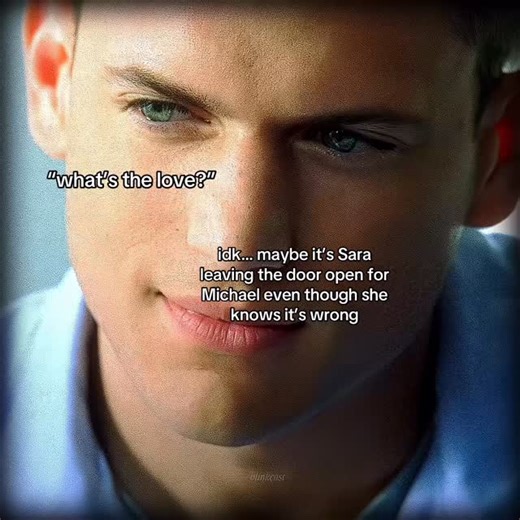 Efe on Instagram: "Wentworth Miller is an American actor, screenwriter, and activist. He was born on June 2, 1972, in England and raised in the United States. He graduated from Princeton University before pursuing acting. Miller became internationally famous for his role as Michael Scofield in the TV series Prison Break. He has also appeared in shows like The Flash and Legends of Tomorrow as Captain Cold. In addition to acting, he has written screenplays, including the film Stoker. Miller public