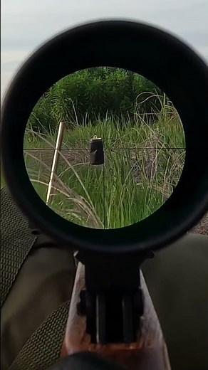 【射撃動画】狩猟用ゴムライフル「GOMRIFLE™ SSR-LCT-22」