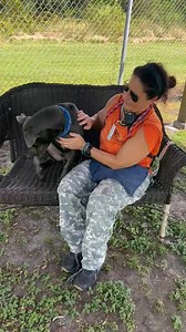 8.8K views · 256 reactions | 10-8-25 SAFFRON WAS ADOPTED TODAY THANK...