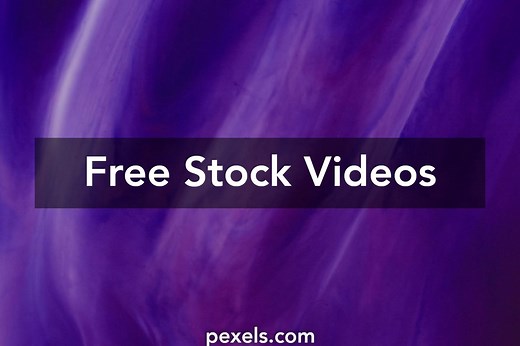 Purple Gradient Videos, Download The BEST Free 4k Stock Video Footage & Purple Gradient HD Video Clips