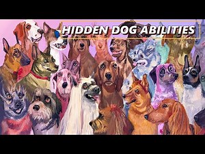 Hidden Dog Abilities Scientists Can’t Explain