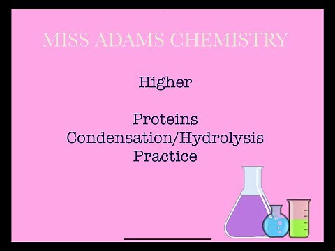 Higher: Proteins Condensation and Hydrolysis Practice