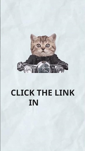 Why Is My Cat Pooping Hard Nuggets? (IMPORTANT!)