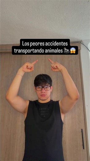 Los peores accidentes transportando animales 🦍😱 #parati #animales #accidente #miedo #fyp #😱