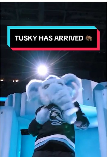 TUSKY: The New Mascot at Utah Mammoth
