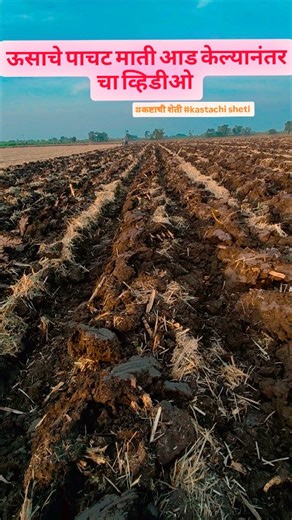 कष्टाची शेती kashtachi sheti on Instagram: "#kashtachi_sheti #कष्टाची_शेती #reels #viralvideos #trendingreels"