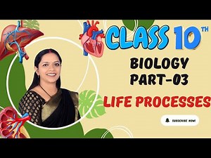 The Human Digestive System | Biology Class 10 | Life Processes| #biologyclass10 #biology #science