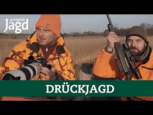Driven hunt | 77 head of game bagged by 16 hunters | Pro tips for driven hunts
