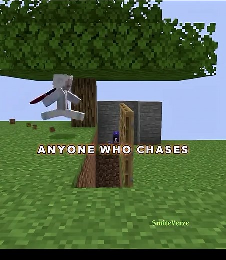 Quick Door Trap Guide for Minecraft — JudeLow’s Insane Design