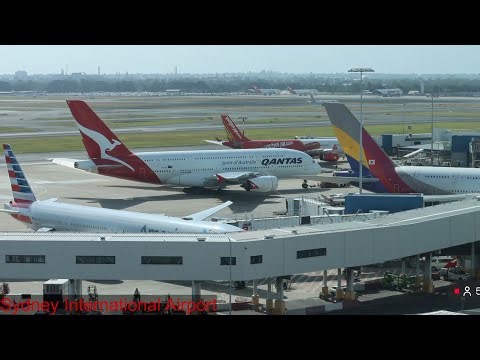🔴 Live Stream Sydney International Airport | Heavy Takeoffs From Rydges Hotel