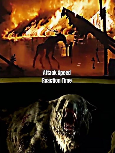 Moder vs The Mutant Bear ( The Ritual vs Annihilation )