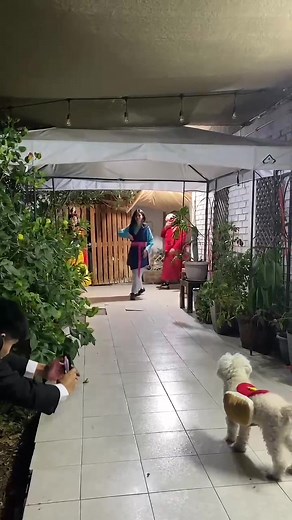 Entrada triunfal #anya #mulan #disfraz #mulandisney #cosplay | mulan hombres vestidos de mujer