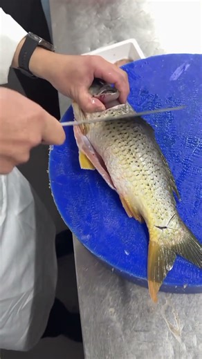 99% of People Cook Fish WRONG – This Chinese Chef’s Secret Changes Everything !!