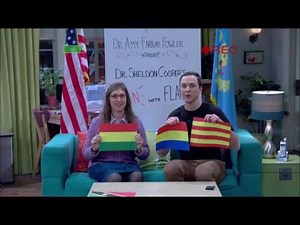 The Big Bang Theory s10e07 - Budapest flag
