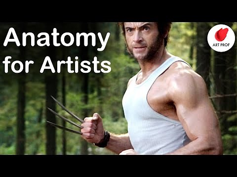 You've Never Seen an Anatomy Lecture like this for Artists