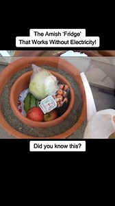 1.7M views · 53K reactions | Ever heard of a Zeer pot? This ancient...