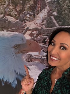 5.9K views · 1.7K reactions | Pip, pip hooray! We have babies in Big Bear and Auntie Lynette is cracking open the love story of Shadow and Jackie and their sweet eaglets. Get Looped in with Lynette as she keeps a close eye on the proud family as snow and wind moves in. | NBC LA | Facebook