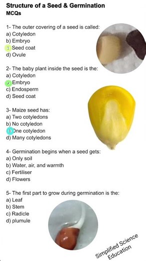 MCQs on seed Germination #biology #science