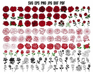 Roses SVG Bundle | Roses Silhouette | Rose Clipart | Rose Cricut | Rose Design | Flowers Svg | Floral Svg | Wedding Svg PNG | Commercial Use - Etsy