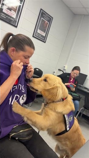 Autism service dog task training - biting shirt interruption