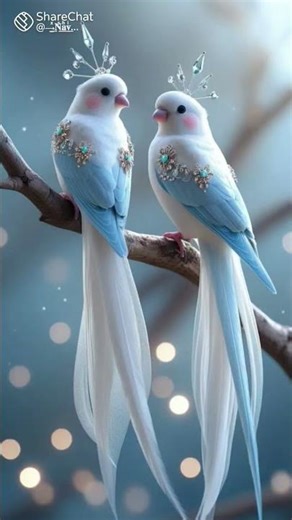 shorts feed #youtube short #yt short #shorts feed#browser#browse feature