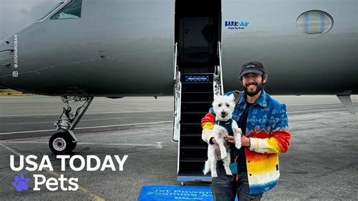 An airline for pets? Celebrities like Josh Groban opt for Bark Air.