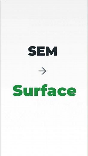 SEM vs TEM in One Sentence