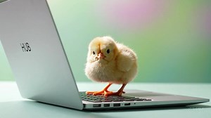 🌼 Spring into Better Health! 🌼 With brighter evenings and warmer days ahead, now's the perfect opportunity to refresh your wellbeing. Visit NHS Lanarkshire’s Spring Health page to get helpful advice on staying healthy at this time of year. Discover more here 👉 https://www.nhslanarkshire.scot.nhs.uk/your-health/spring-health/ #SpringHealth #HealthySpring #NHSLanarkshire | NHS Lanarkshire