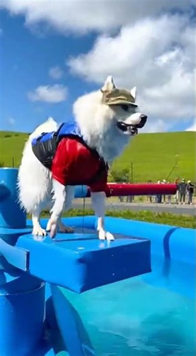 Mission Impossible: The Great Pool Heist 🛟💦