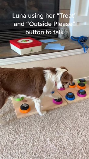 Luna and Izzy Talk on TikTok