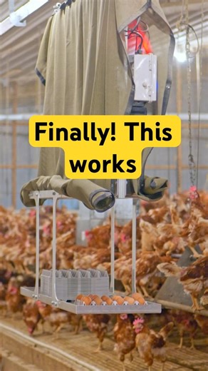The Solution Egg Growers Are Searching For