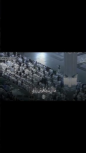 وما خلقت الجن والإنس إلا ليعبدون | بصوت الشيخ عبدالله القرافي 🎧🤍