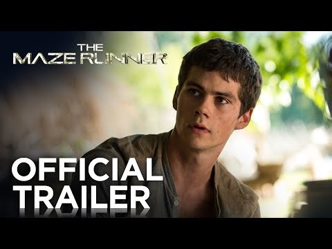Maze Runner director ‘overwhelmed with anger and guilt’ after star Dylan O’Brien hospitalised