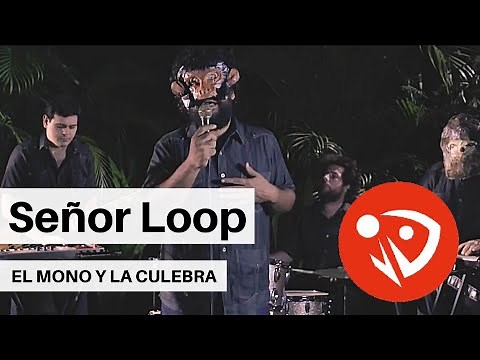 Señor Loop - El mono y la culebra (Video Oficial)