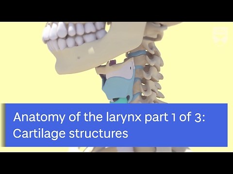 Anatomy of the Larynx: Cartilage Structures by Zoe Kirkham Mowbray Part 1 of 3