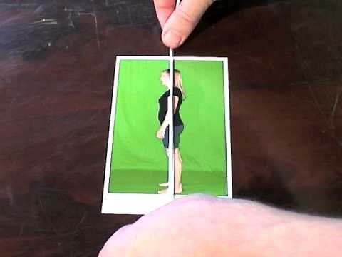 Use the plumb line for postural analysis