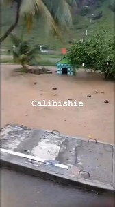 8K views · 49 reactions | Variety News Group on Reels | Facebook