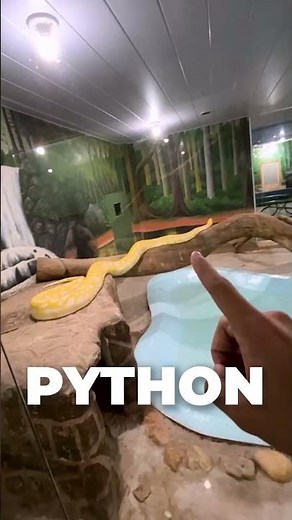You can now CREATE 3D GAMES using PYTHON! #gamedev #python