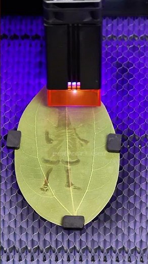 Laser Engraving Machine (Blue Light): Custom Anime Merch in 1-Click