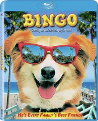 Bingo Blu-ray