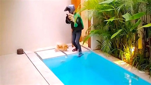 Deliveryman takes unexpected dive into pool in Bali