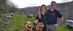 La miel de Cangas del Narcea que triunfa en la mesa y como detalle para bodas en forma de jabón: 'Te llevas un trocín del paraíso'